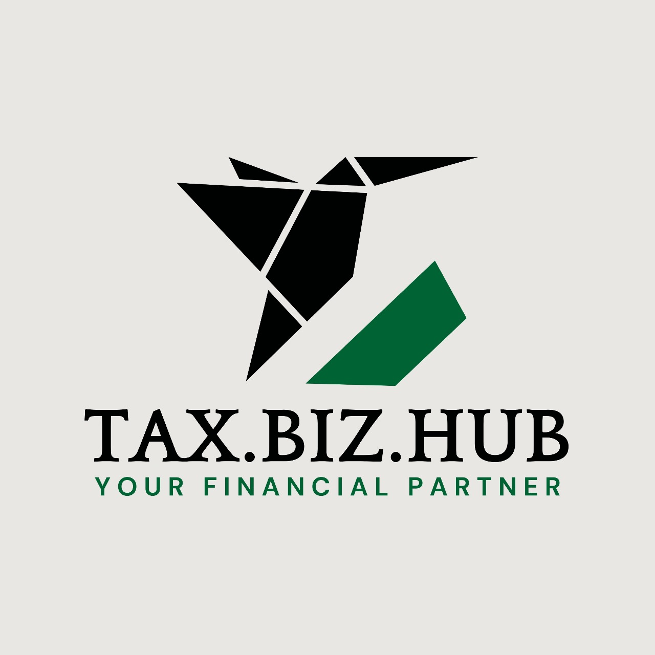 Tax Biz Hub - Delhi Gurugram Logo